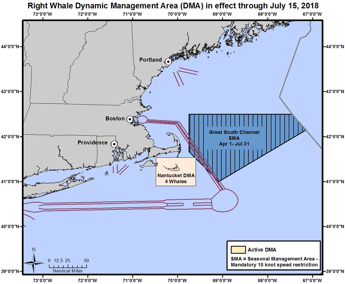 NOAAFish_GARFO's tweet image. #Nantucket boaters: Watch out for right whales! Voluntary slow speed zone established through July 15 to protect group of 4 whales. Please go slow and keep a sharp lookout for these endangered whales. go.usa.gov/xU2H2