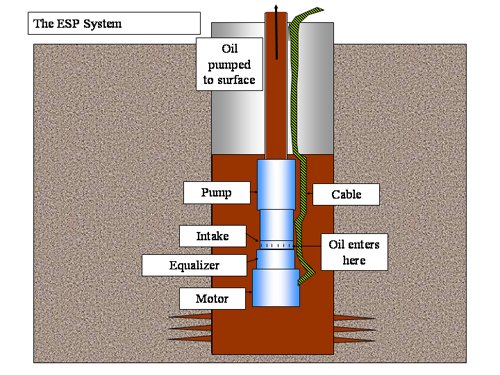 book the structure of compact