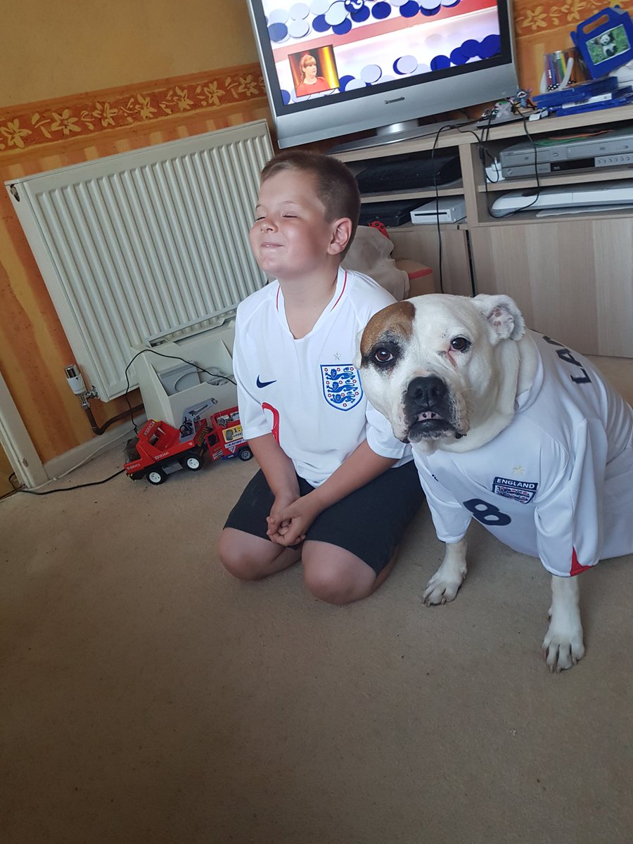 rox_boxerxdog's tweet photo. mini hooman and I are ready... https://t.co/KdUhuNltHz