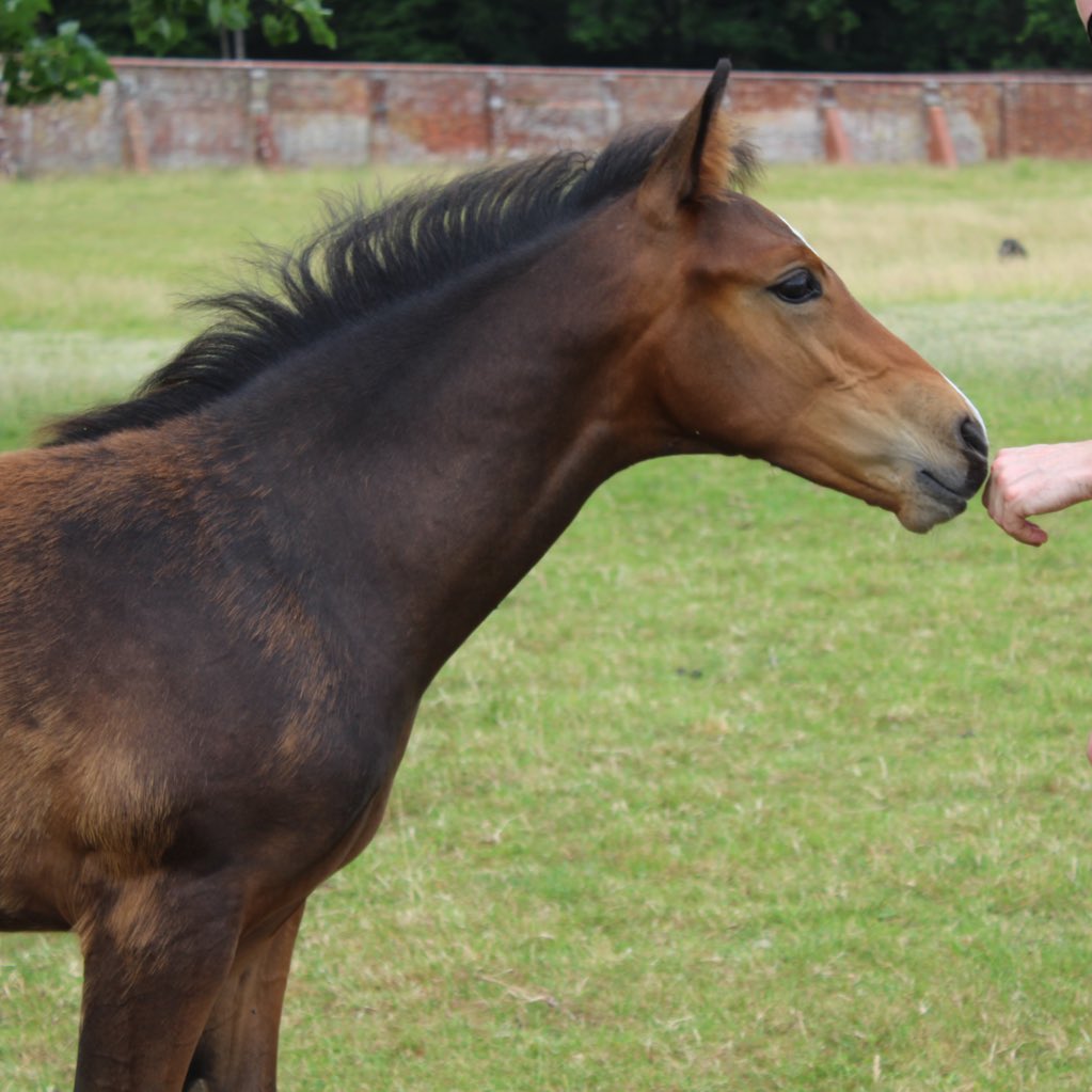 Perriland1's tweet image. #NewProfilePic