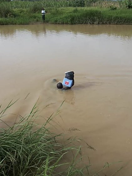 Fiona Braka tweet media