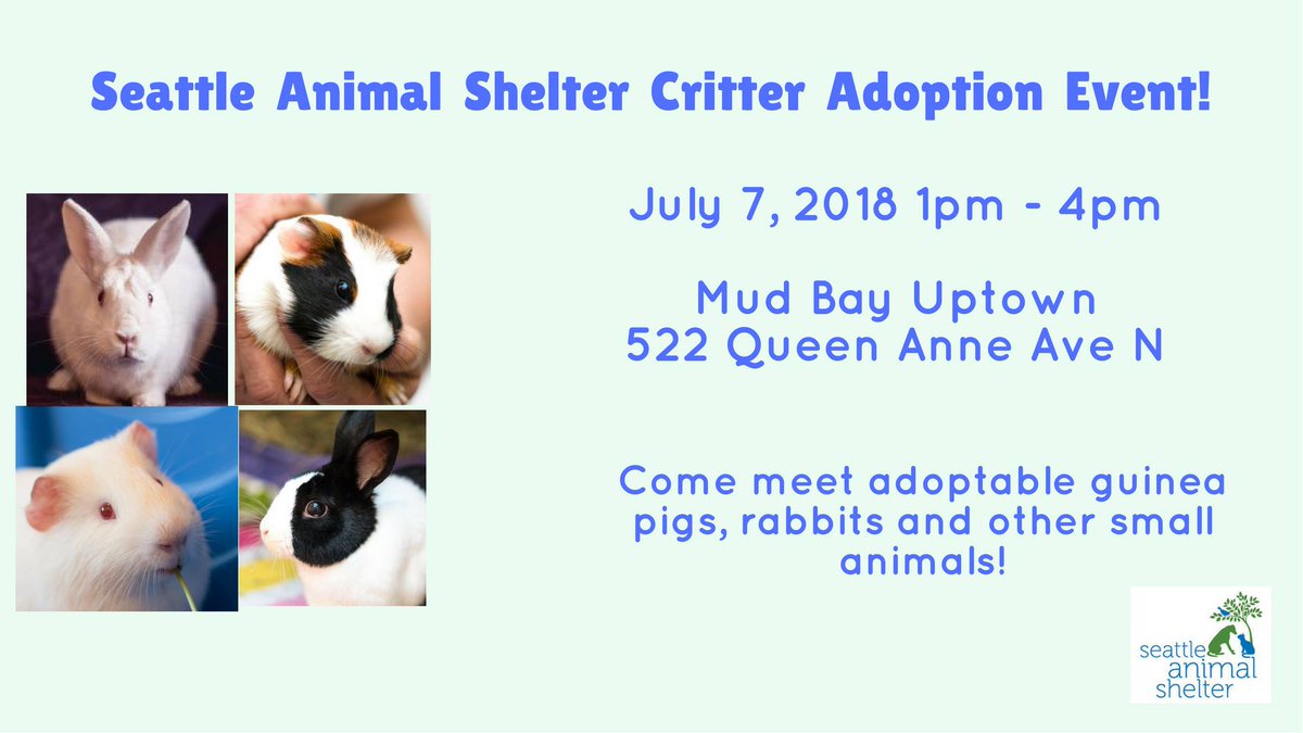 SeattleAnimalShelter tweet media