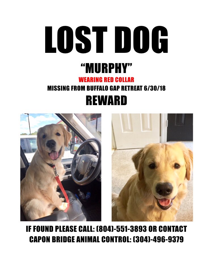 abby_nee's tweet image. Please rt to help my family get our dog back! Spread the word! He went missing in West Virginia!