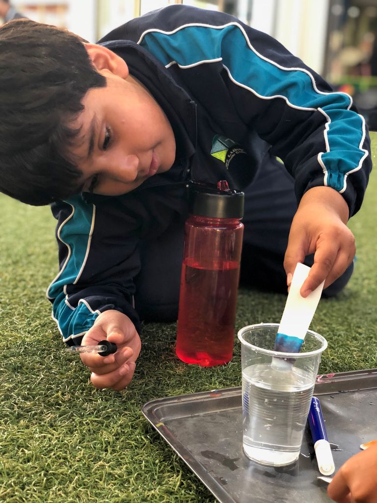 StLukesMP's tweet photo. Stage One experimented with Chromatography yesterday in Activities Club. They separated colours using water. #6to6 #extendedschoolday #learningbasedactivities https://t.co/zaDQZCIKH7