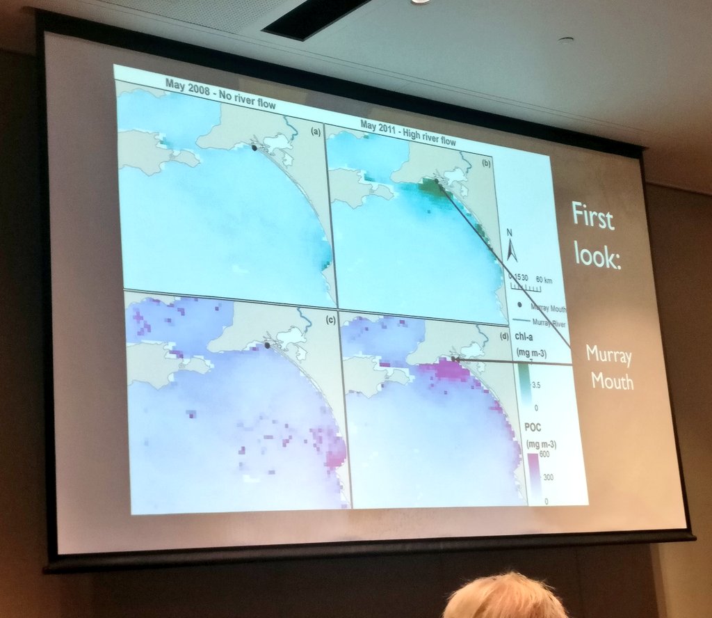 SatelliteSci's tweet photo. Fascinating talk by @AurichtHannah at #AMSA18, using #MODIS #remotesensing to show that Murray-Darling outflows affect primary productivity up to 60km from the river mouth &amp; declining river flows during #MilleniumDrought strongly reduced productivity. What will #climatechange do? https://t.co/zK2x0qIYE5