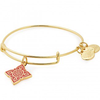#Giveaway 2day in 24 hrs. Follow Retweet &amp; donate any amnt to Hurricane Relief here - improvement efforts are still ongoing: fundrazr.com/c1JJTc?ref=ab_… #Free gifts for giving and entry for grand prize - Van. Fashion Week Bracelet - value in $100s! Xmas in #July coming  give NOW #WIN