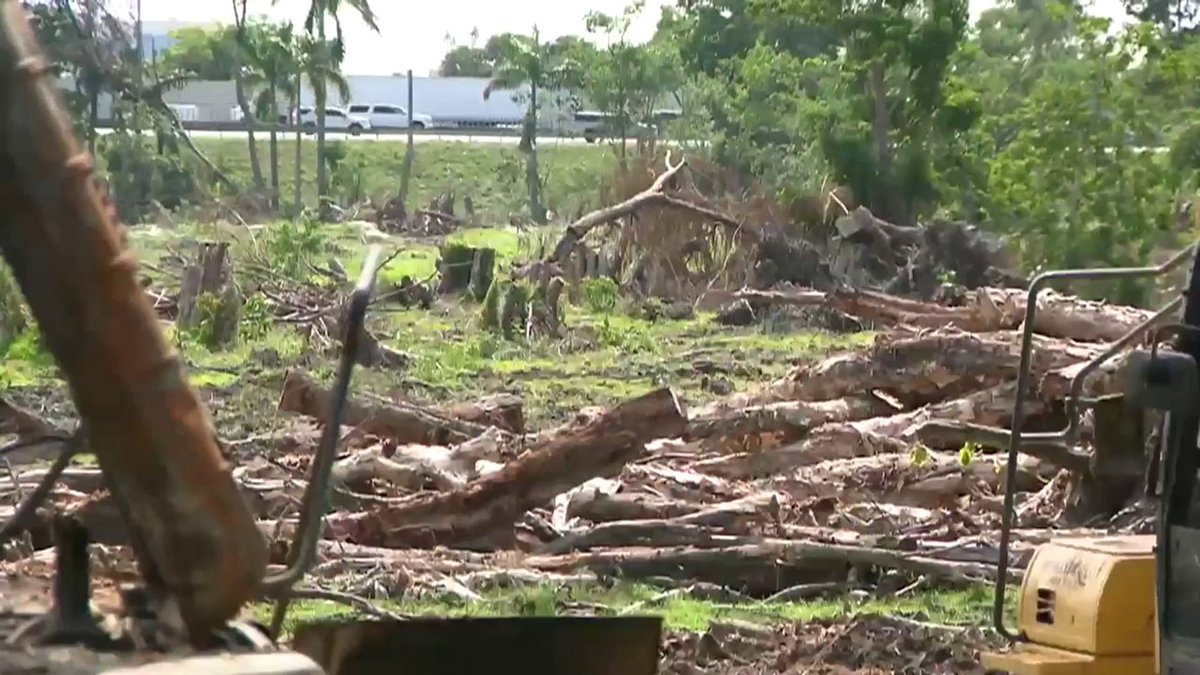 Hollywood neighbors fed up as site of old golf course becomes eyesore bit.ly/2MGlO0c https://t.co/7YmGAA3E1A