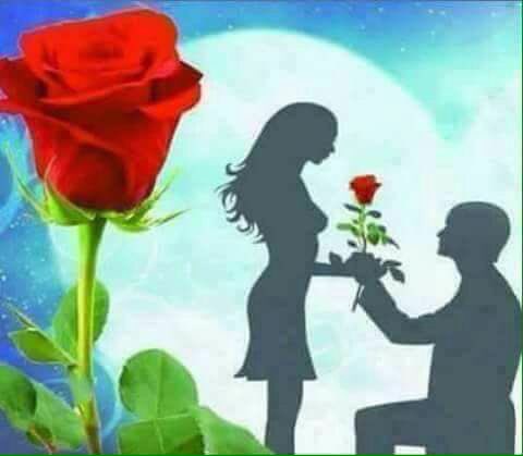 Para conquistarmos algo na vida não é necessário, apenas força ou talento, é preciso, acima de tudo, ter vivido um grande amor. (Arnaldo Jabor)