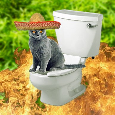 TheComedyButton's tweet image. Hey everybody! We're recording two new episodes tonight!

Please give us some topics, questions, suggestions, roleplaying scenarios, or other weird shit to talk about on our awful radio program for oversized children.

(pic unrelated)