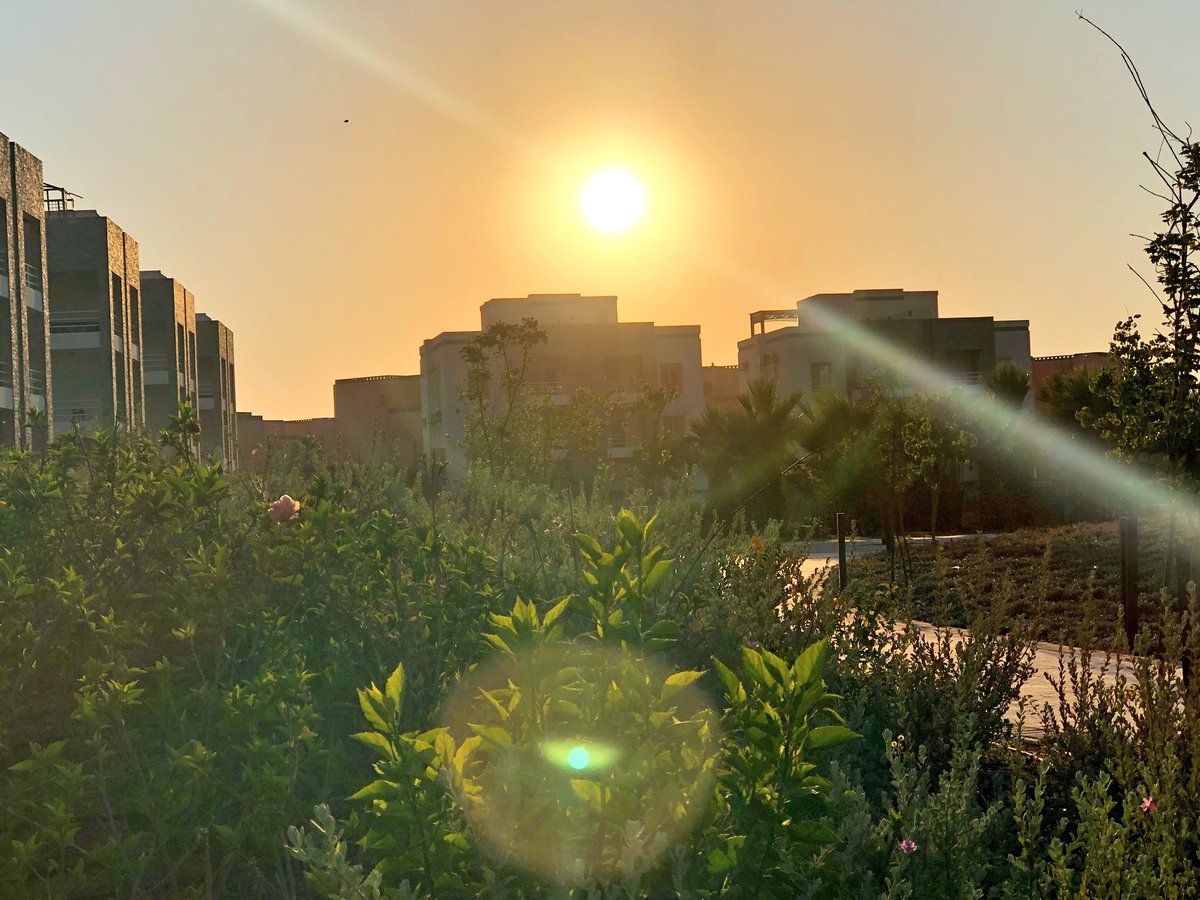 Hania_zarad's tweet photo. اصلي حبيت الموضوع اوي 😂✨
#no_effect
#iphone_photography https://t.co/5JnB6GKBWO