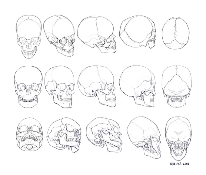 This is my completed skull drawing for Assignment 2 in Steve Ahn's Online Drawing Workshop -- I feel like I'm learning so much already! The audit version of the course is still available -- https://t.co/tNjAMCKy2B 
