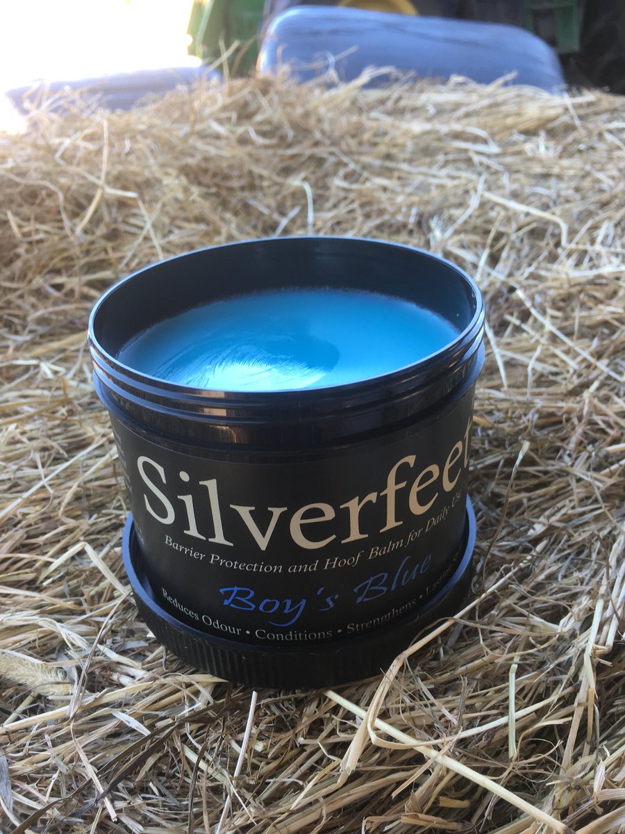 Great fun <a href="/hoofbalm/">Silverfeet Hoof Balm</a> for the boys to keep their ponies in shape!!