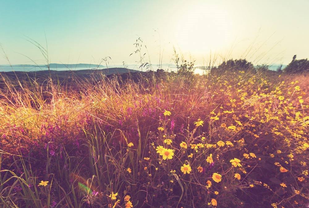 greecelovR's tweet photo. 🇬🇷 💖 Spring is nature's way of saying let's party(R.Williams)!!!! :D
#visitgreece #greece #instagreece #VisitGreece #GreekSummer #summer#greekislands #greecevillas #villas #villaholiday #wishyouwherehere #athensvoice #grece #grecia #греция #vacations #saintfridays #saintfriday https://t.co/oRgNyhJu2P