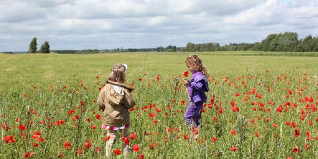earlyplay's tweet photo. To be free is to be capable of thinking one's own thoughts - not the thoughts merely of the body, or of society, but thoughts generated by one's deepest, most original, most essential and spiritual self, one's individuality. ~ Rudolf Steiner https://t.co/nDNNc5at03