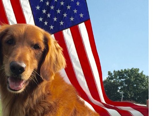 THV11's tweet image. Rest in peace Duke, you and your Bush's Baked Beans commercials will be missed.
on.kthv.com/2MGUizR