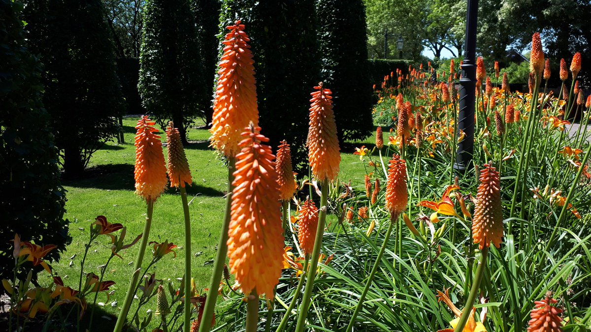 Vandaag was ik in de #Tuinen van <a href="/Appeltern/">Bloemenpark Appeltern</a>. Dankjewel directeur <a href="/BenvanOoijen/">Ben van Ooijen</a> voor het interessante gesprek! Natuurlijk bezocht ik ook de tuinen, voor mij één grote snoepwinkel. Wil jij #inspiratie opdoen voor je #tuin? Dan is een bezoek een échte #aanrader | #tuingeluk