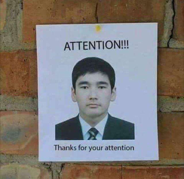 non aesthetic things tweet media