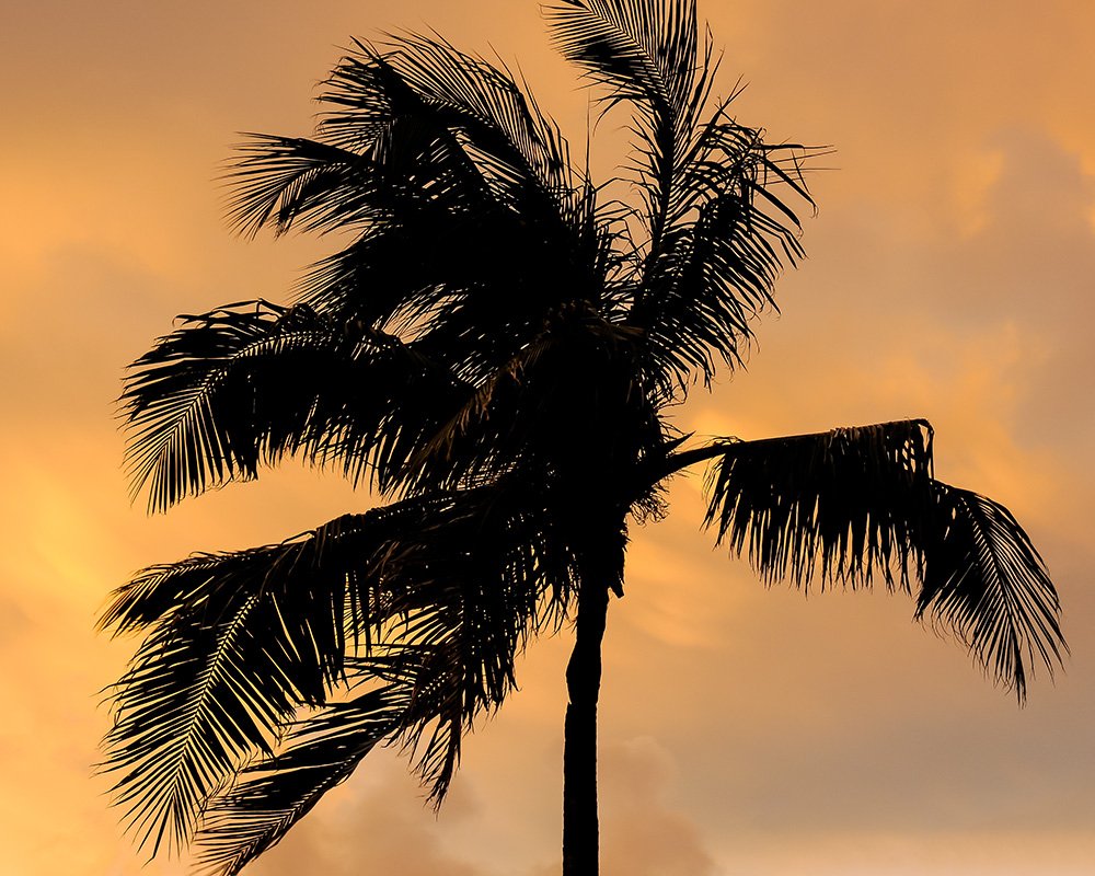 Its hotter up north then it is down here in Miami Beach.