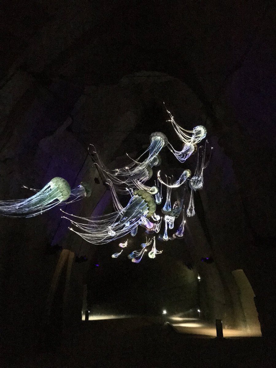 Aujourd’hui les blogueuses de #rdvenanjou ont été invitées à Doué-la-Fontaine pour découvrir Le Mystère des Faluns ! Une très belle visite de ce lieu d’exception 👌🏼 Vous connaissez ? 
#lemysteredesfaluns #rendezvousenanjou #angers #jaimelanjou