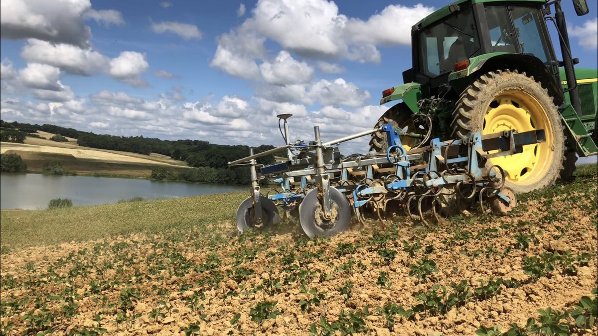 TimBraux's tweet image. VIDEO : Guidage actif de la bineuse par GPS RTK en dévers avec système TWIN DISC @RavenEurope distribué par @Agrotronix                               youtu.be/k2BWwQHqI1s