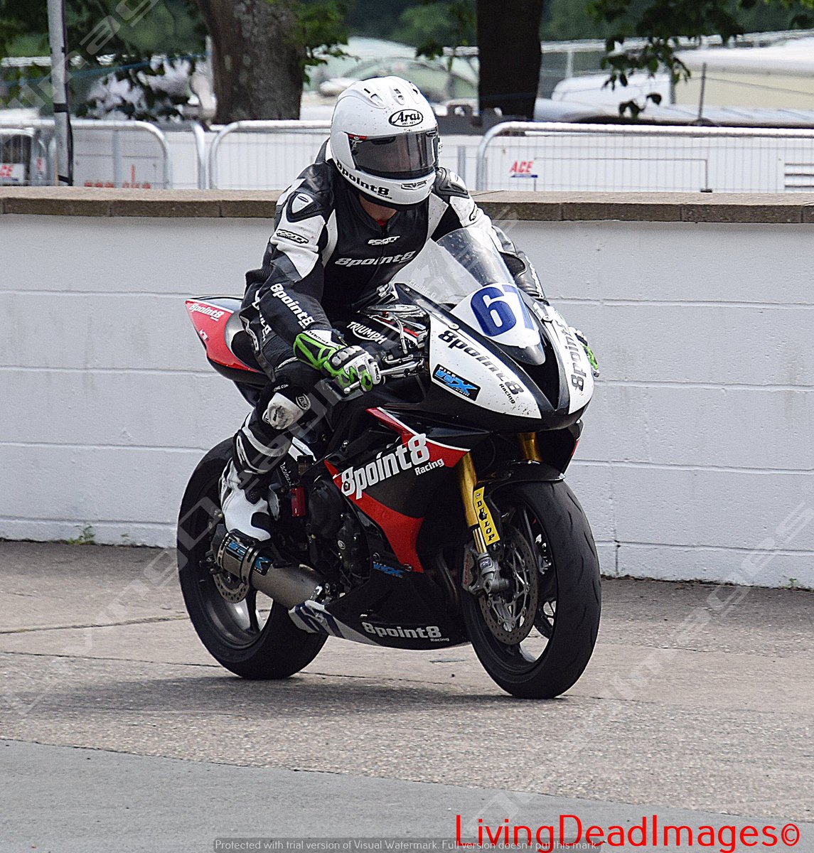 FireStallion666's tweet photo. #paton @michaelrutter_ @BathamsRacing #robwhittall #iomtt18 #roadracing 040618 #supersport #pits #ttpaddock #nikon #livingdeadimages @ttscwebsite @MotofestIOMTT @LivingRoadRaces https://t.co/QTUk1Uw7YP