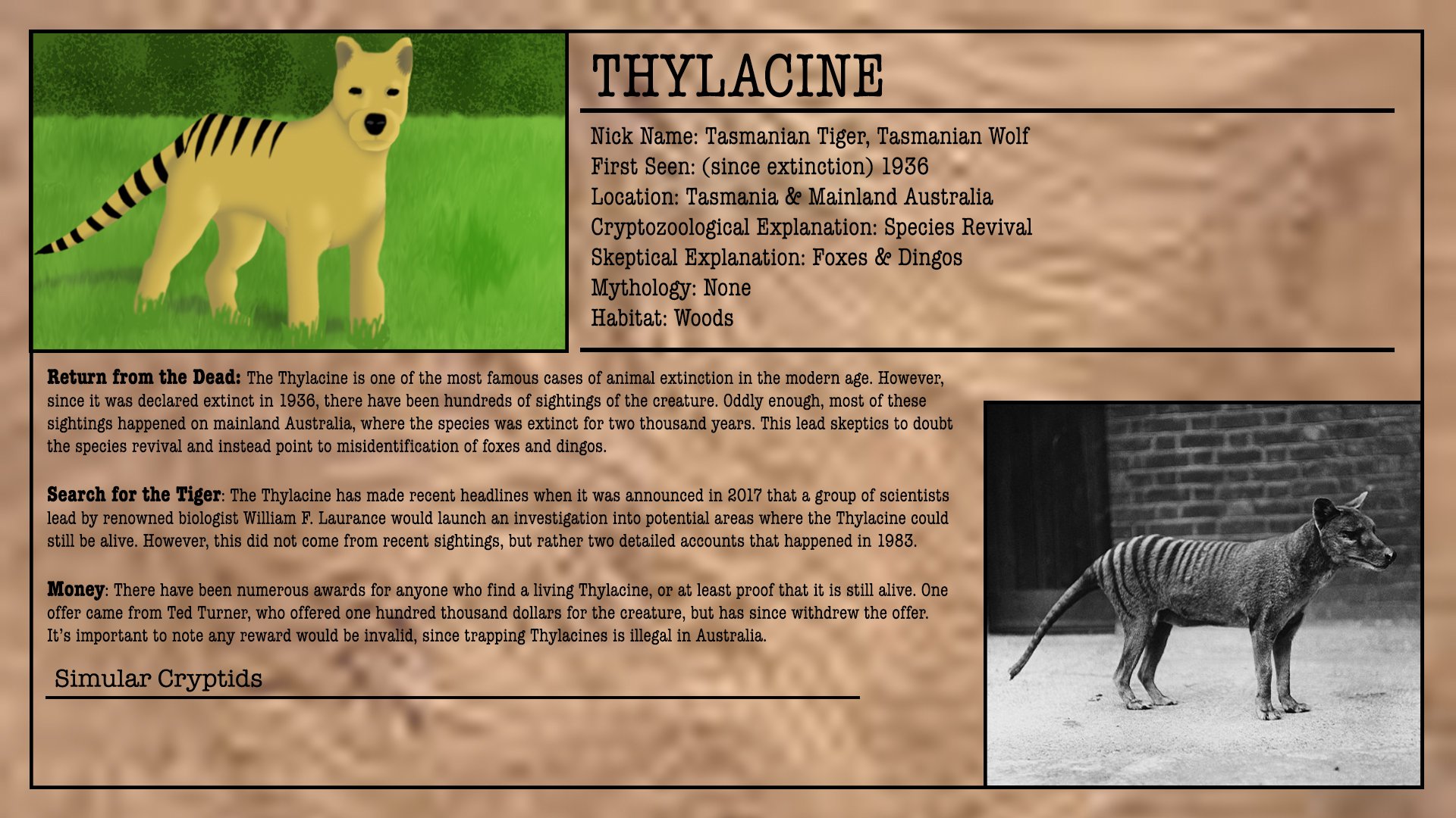 “Big Cryptid Quest Card #60: Thylacine
#cryptids #thylacine” 