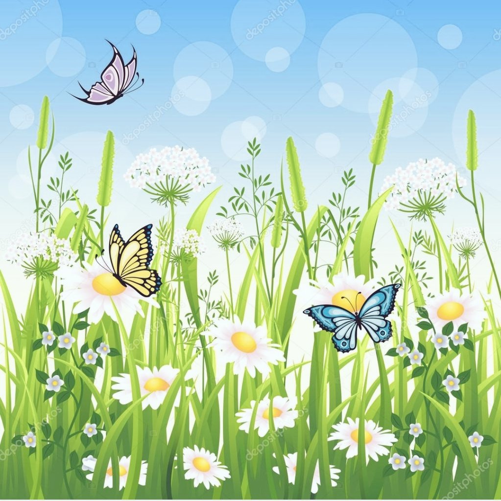 LadiesCircle16R's tweet photo. "Il segreto non è correre dietro alle farfalle , bensì di curare il giardino perché  esse vengano da te!"

#Ladies #LadiesCircle #LadiesCircle16Roma #RoundTable #Agorà #Tangent #Club41 https://t.co/fiWIi4iexw