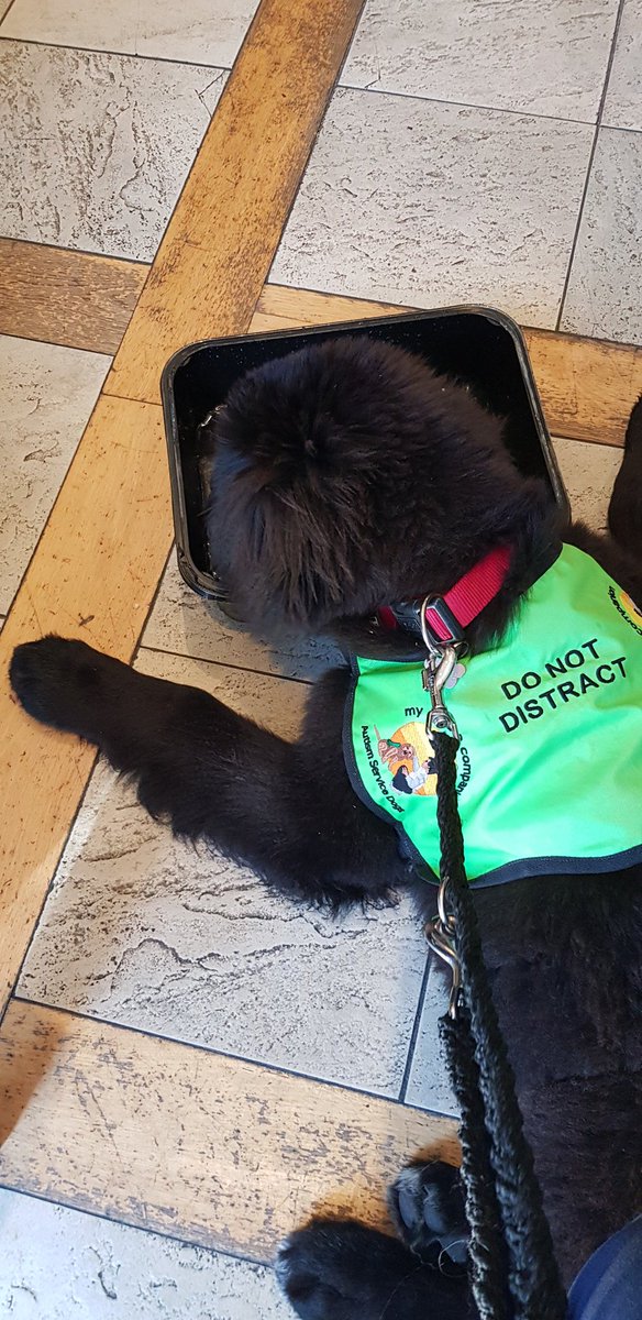 Thanks a million for lovely cold water for Darcey <a href="/CommodoreCobh/">Commodore Hotel Cobh</a>. The nice lady said "We have to look after ALL customers" <a href="/mycaninecompani/">My Canine Companion</a>
