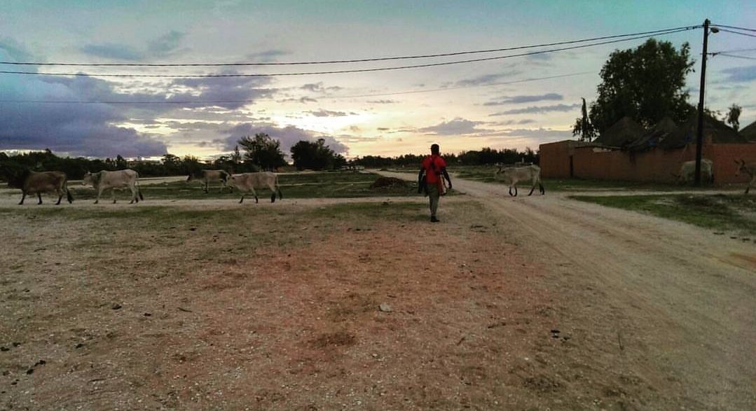 Aman00160857's tweet photo. #Senegal #africa #Afrique #travels #Travel #TravelBlog #travelblogger #mytravelgram #mytravels #travelphotography #sunset #nature #landscape #tramontiafricani # https://t.co/y2mpgZ8zld