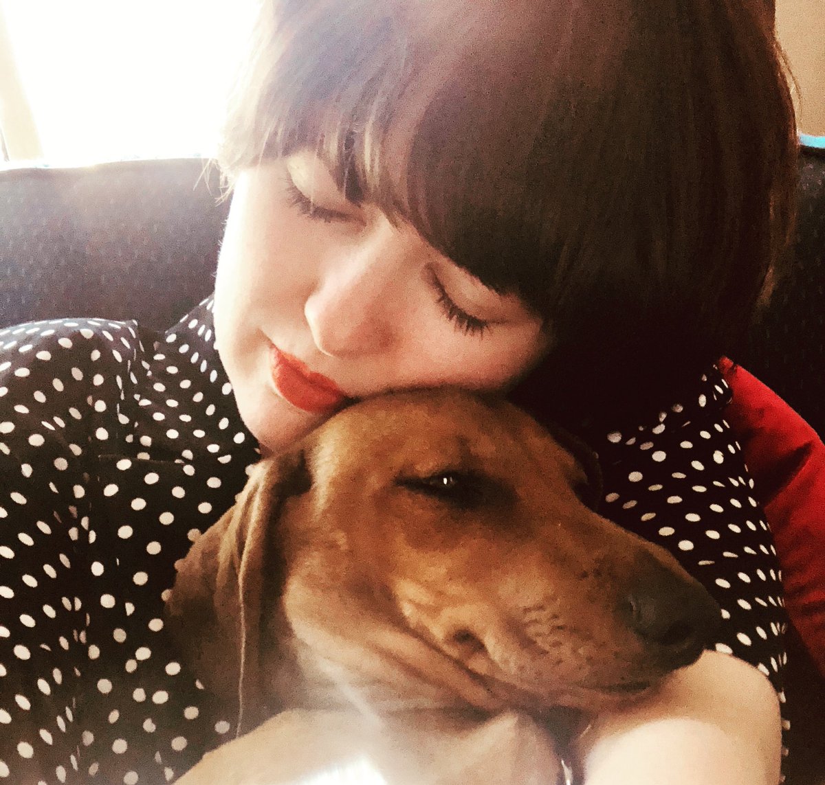 annamarshall90's tweet photo. Napping in between rehearsals today for @Lughnacy_Prod and @skinbonetheatre - tomorrow I’m with @0daystheshow @SpaceArtsCentre and @LisaMariaNordic - all very exciting shows that shouldn’t be missed! https://t.co/fohnlMJs35