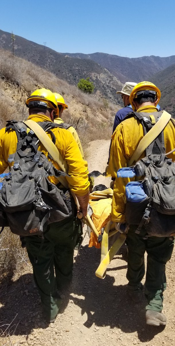 ClevelandNF's tweet photo. Yesterday, firefighters with engine 347 saw a hiker struggling with his dog, Maya, who had injured her paws too badly to walk. In response, the crew quickly worked to transport her the last 3 miles, even crafting a new carrier out of fire hose and a nearby branch. https://t.co/Masr0GR9AA