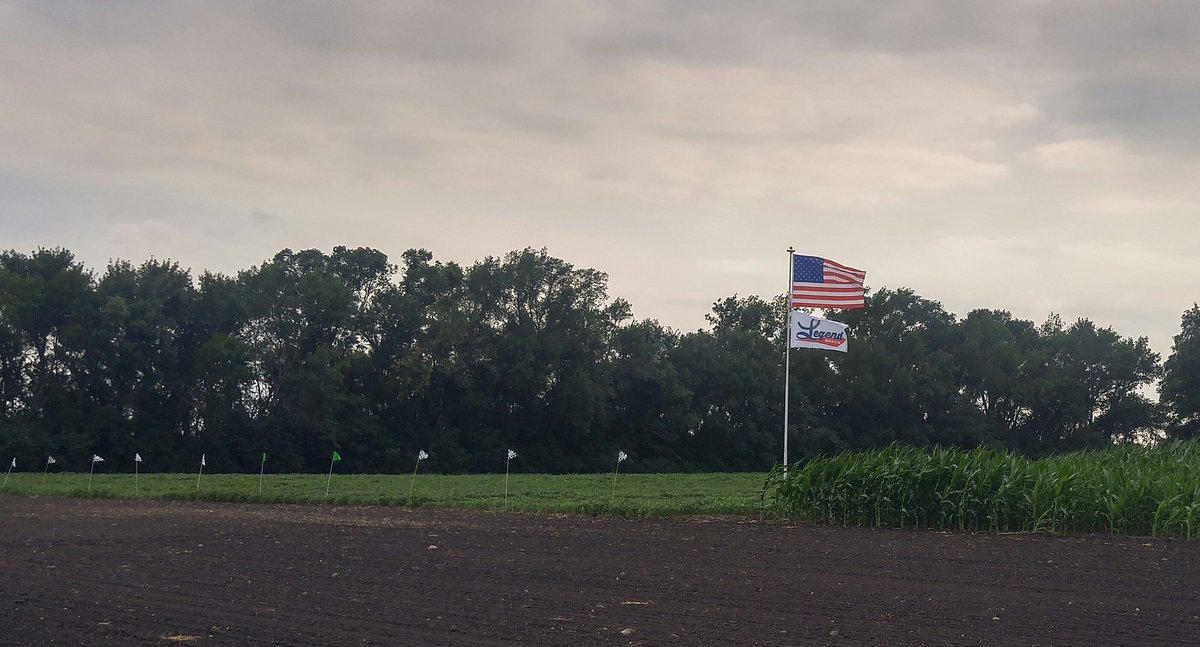 Cody Miller Seeds tweet media