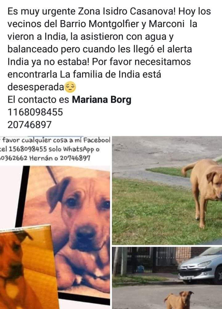 GaJaureguiberry's tweet image. Zona #IsidroCasanova urgente,atentos,retener si la ven..!