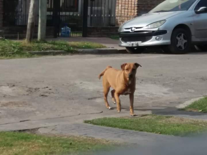 GaJaureguiberry's tweet image. Zona #IsidroCasanova urgente,atentos,retener si la ven..!