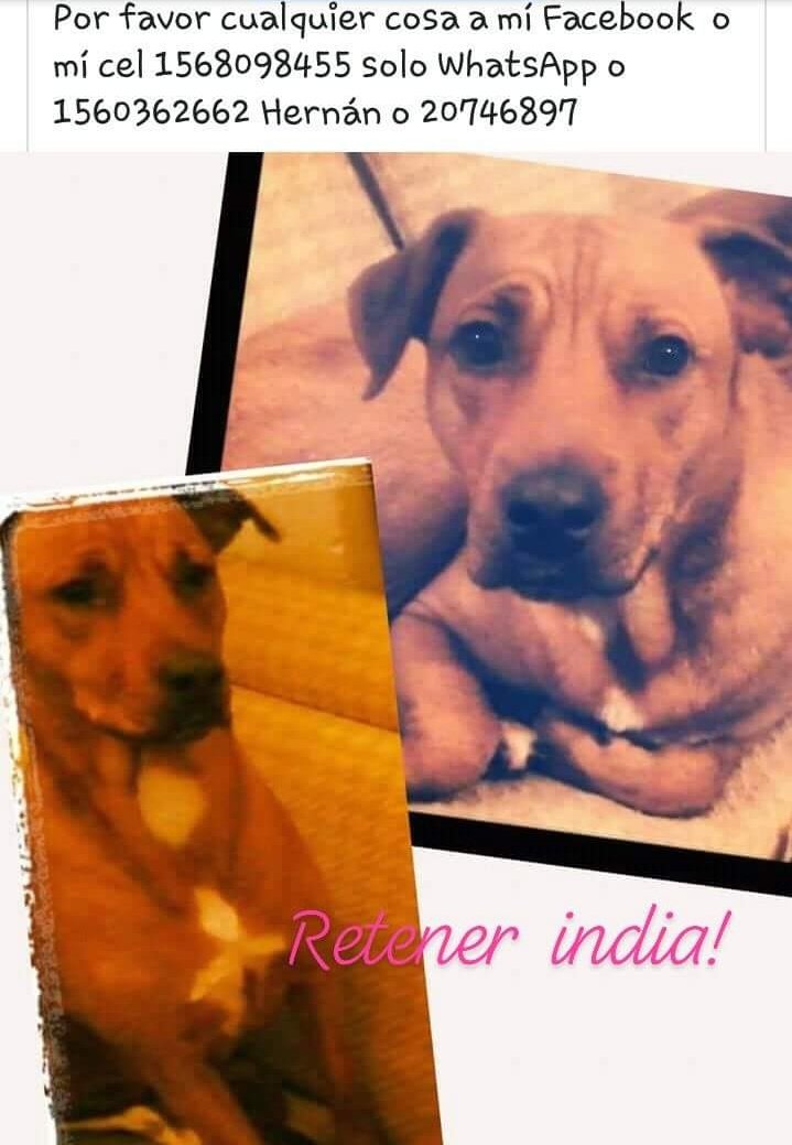 GaJaureguiberry's tweet image. Zona #IsidroCasanova urgente,atentos,retener si la ven..!