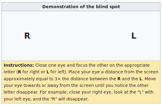 And for fun, here's wikipedia's example of the blindspot.Stare at L with only your left eye, adjust the distance, and the R will disappear. You don't see "nothing" or "black", you see the background, because you expect to.