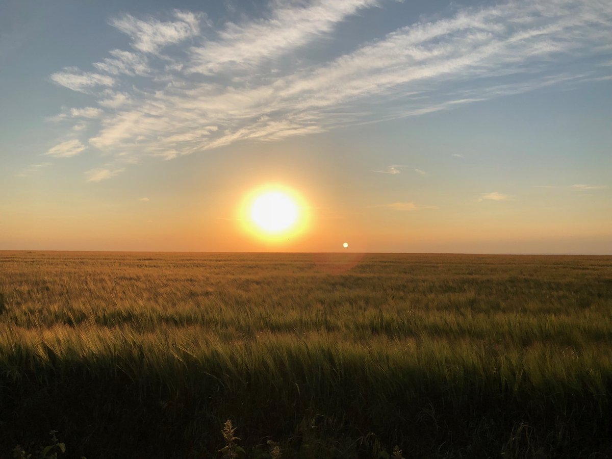 Evening walk with the dog and family in #wiltshire #liddington castle. What a beautiful county we live in.