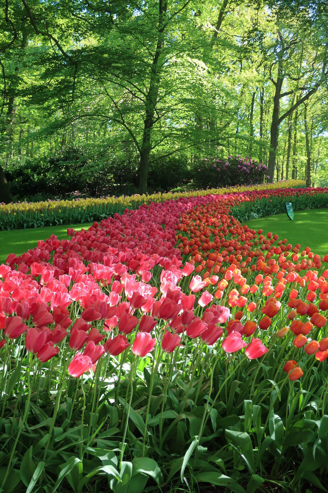 ツーリズムexpoジャパン 皆さん こんにちは もうすぐ夏休み 7月 8月におすすめな旅先をご紹介 オランダ アムステルダムは夏場でも暑すぎることなく 5月 8月がベストシーズン 8月にはクラシック音楽の祭典 運河フェスティバル が開催されます