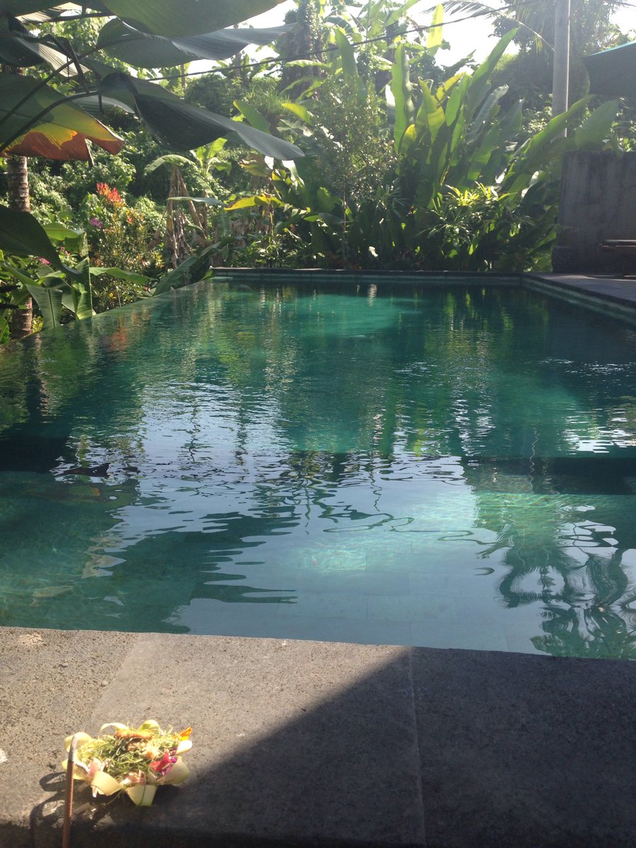 With the weather as cold as this, can’t help but think of our holiday villa in Ubud, Bali on our recent vacation.