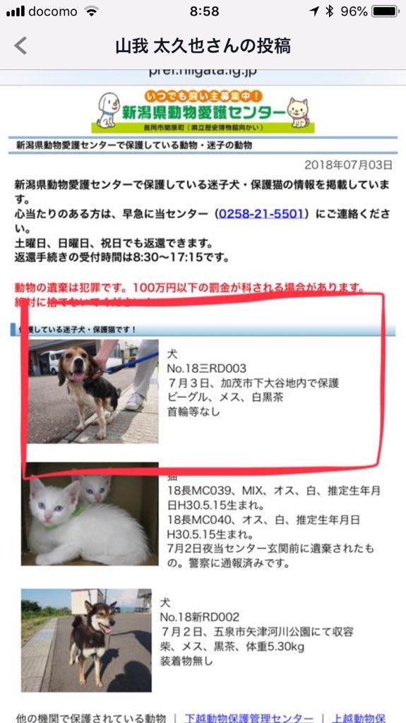 新潟県動物愛護センター Twitter Search 新潟県動物愛護センター Twitter Search