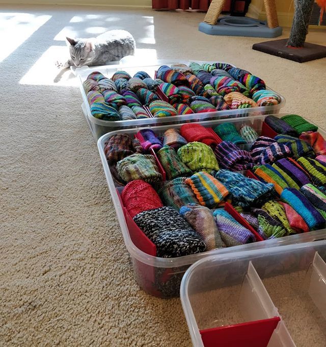 JustRunKnit's tweet photo. He looks innocent, but Sully couldn't decide between sunbathing and trying to run off with my socks. 😂😂
I have my sock storage out as part of trying out IGTV to talk about all things socks for #sockschool2018. I talk about my sock knitting addiction … https://t.co/8MFFPZCNxL https://t.co/t4APqKS2kX