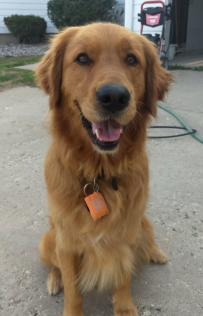 DZELT's tweet photo. @CBSNews Heartbroken to hear Duke/Sam has passed. We loved watching him on @BushsBeans commercials. Charger (pictured) would stop to watch too! #MissingDuke #RIP https://t.co/TzCuvDws0y
