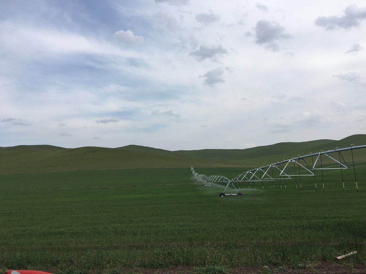 MapleYu7's tweet image. The ZHONGHUI brand lateral move irrigation system is working