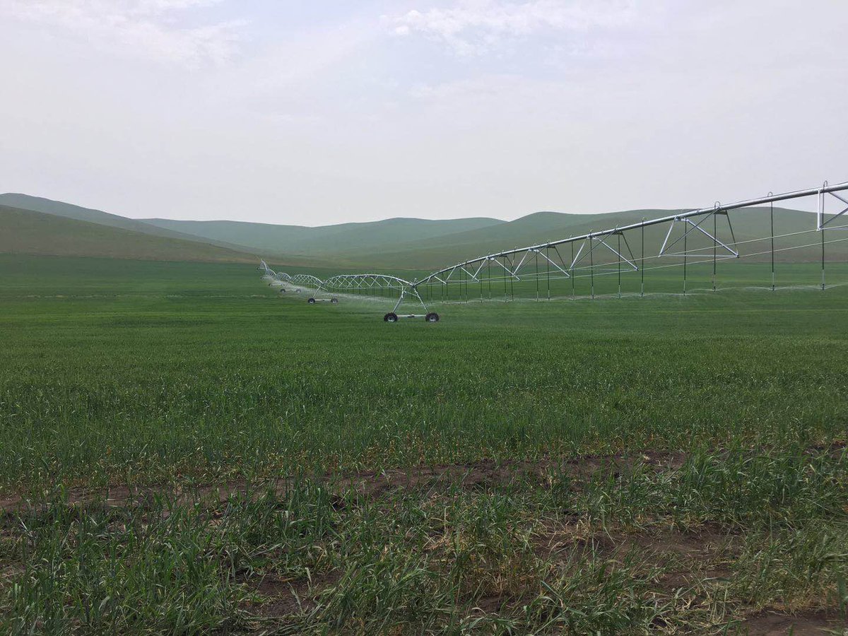 MapleYu7's tweet image. The ZHONGHUI brand lateral move irrigation system is working
