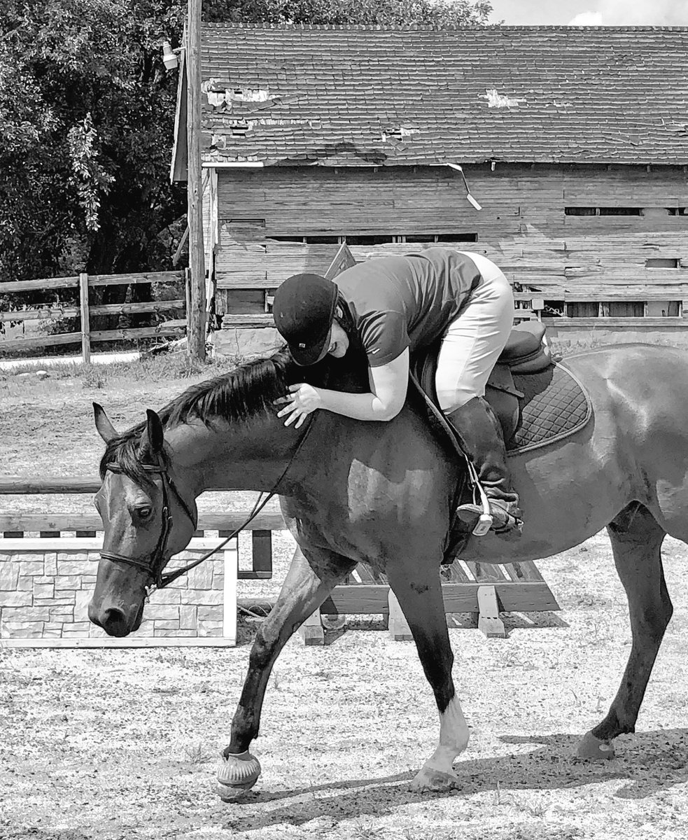 mkinbetterbacon's tweet photo. TFW: You’re finally allowed #backinthesaddle! 😍🎉🏇🏿 #breastcancersurvivor #cancersucks #horseaddict #horsebackriding https://t.co/7rTBbbV6dZ