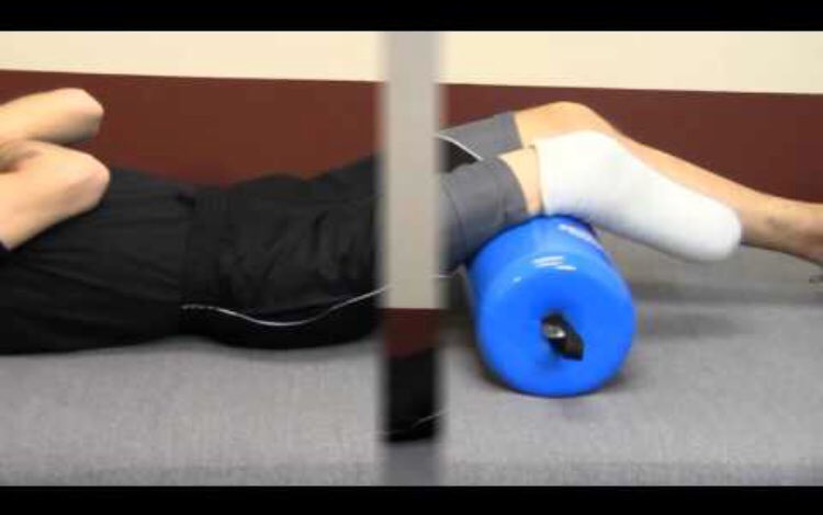 Dr. Taylor Kitkowski, PT,DPT tweet media