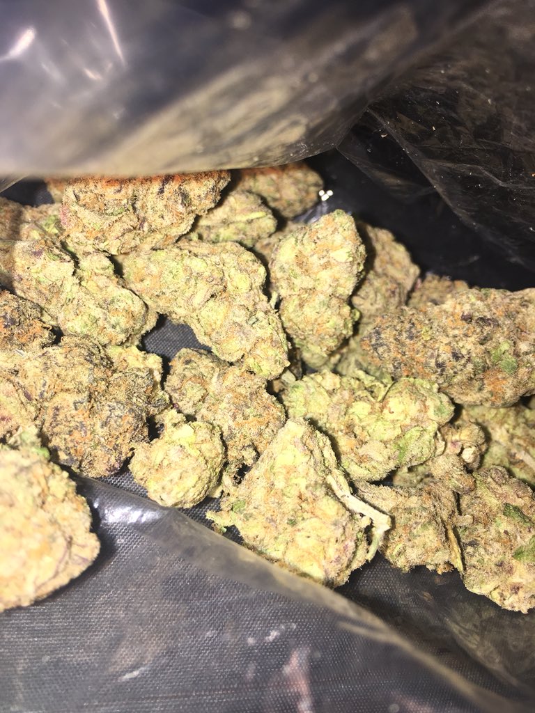 CarlittoWest's tweet photo. Gelato 41 https://t.co/IGb4Zn5rPw