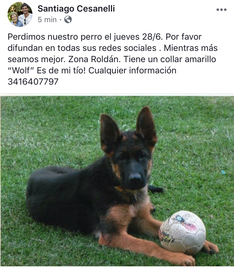 Dopping Positivo (@doppingp) on Twitter photo 