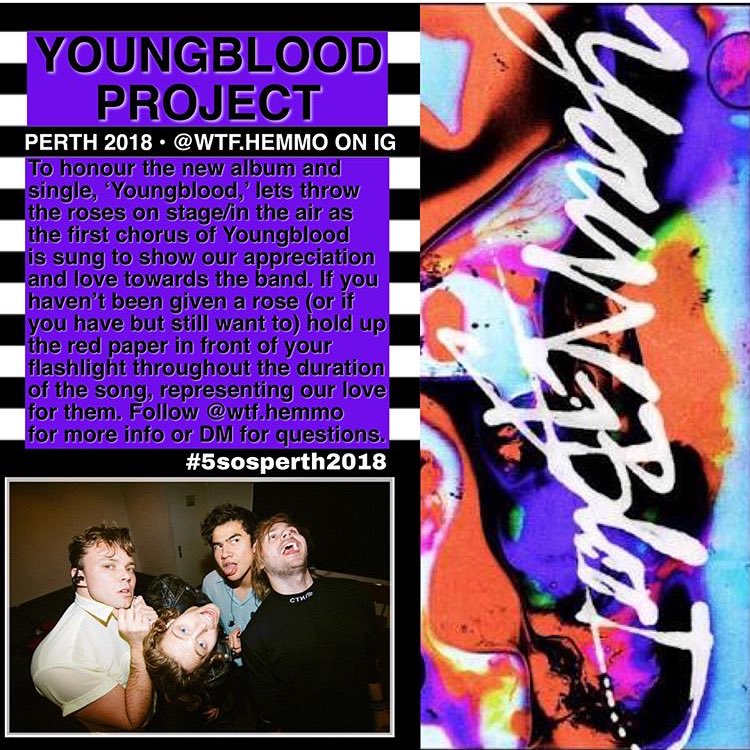 MYTT5SOS's tweet photo. #MeetYouThereTour #meetyoutherePERTH Fan Project for Perth! #5sos #lukehemmings #calumhood #ashtonirwin #michaelclifford https://t.co/sfP4tF4hgA