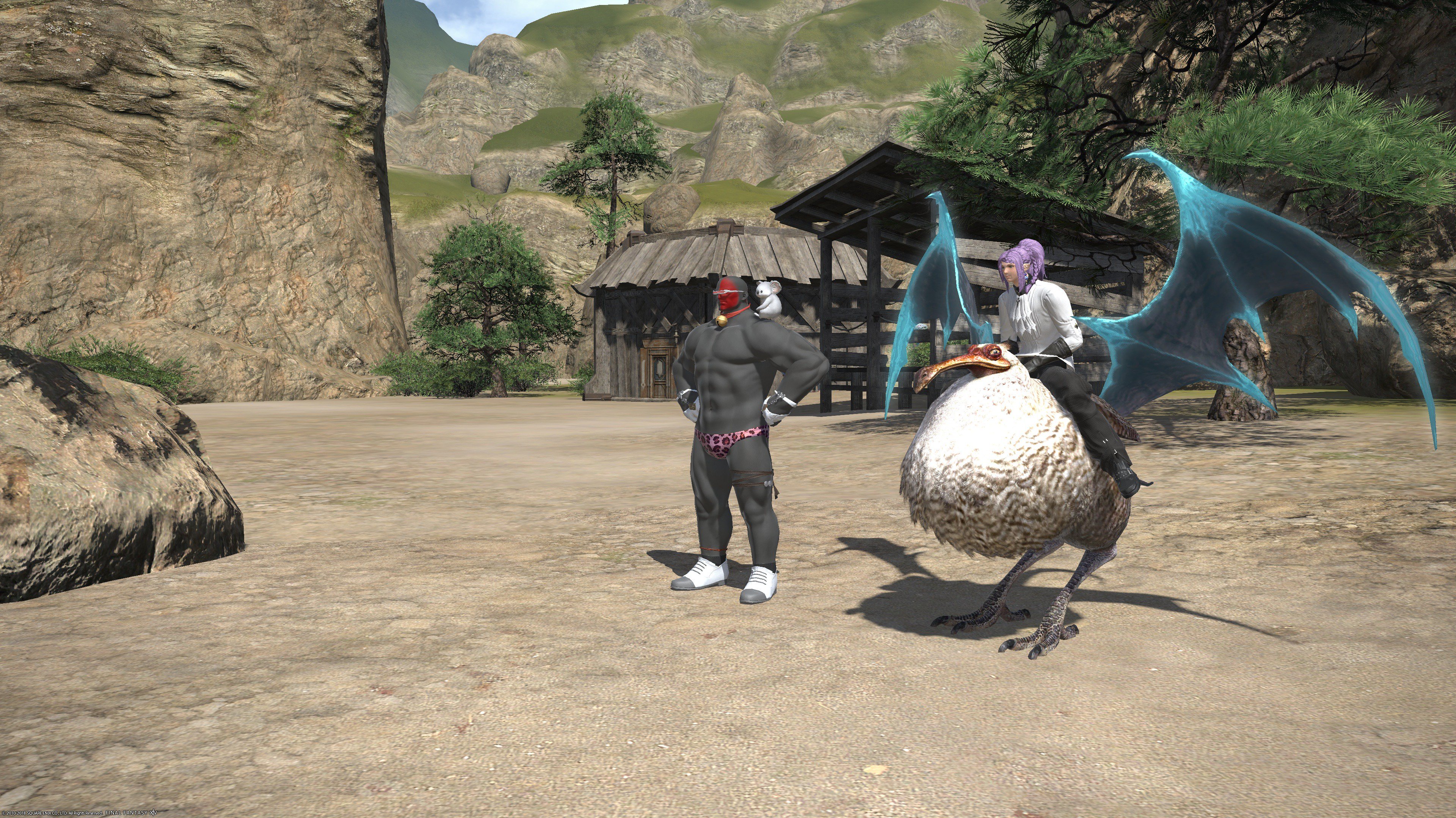 甘党工藤 17 Sinryu鯖 Ar Twitter ドードーマウントかわいい Ff14 T Co Qhlthkznzc Twitter